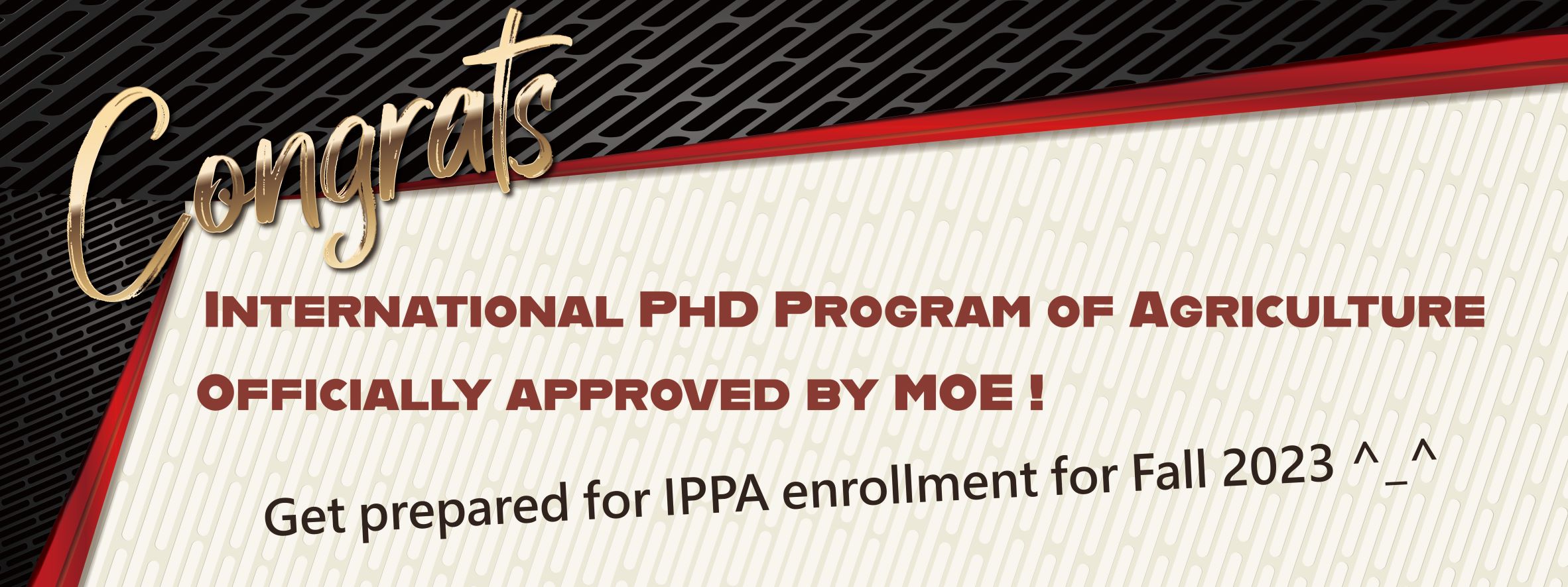 IPPA has been officially approved by MOE,  will start to recruit students fall, 2023!